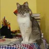 Отзыв от Екатерина Зыкова